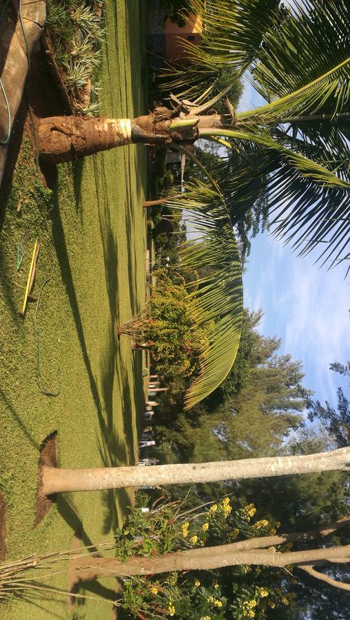 Cafumpe Milpark Hotel المظهر الخارجي الصورة